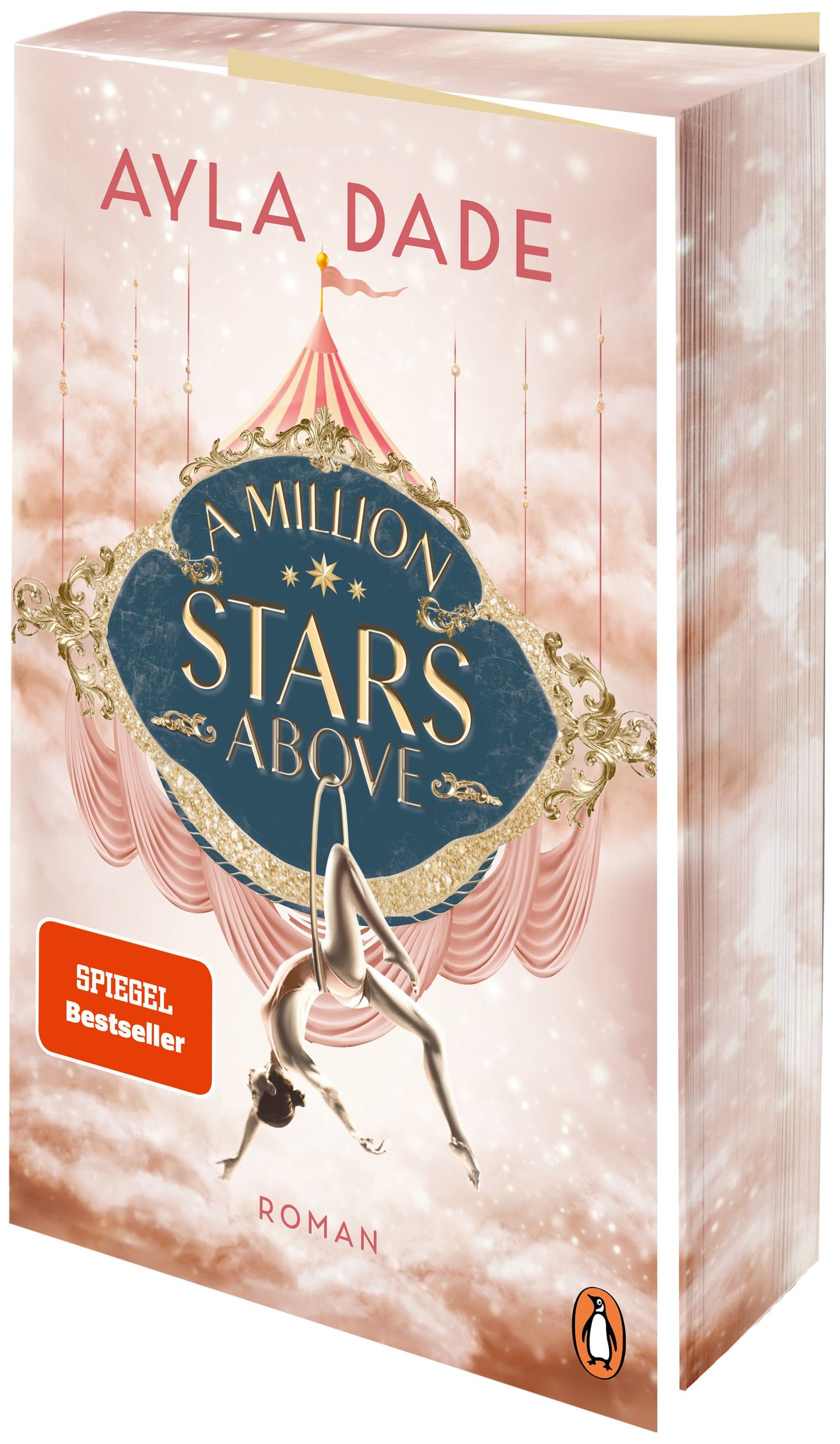 Cover von A million stars above